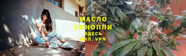 apvp Каменка