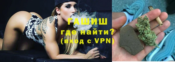 apvp Каменка