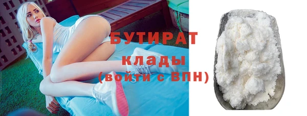 шишки Каменногорск