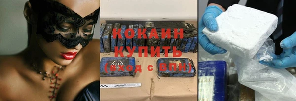 шишки Каменногорск