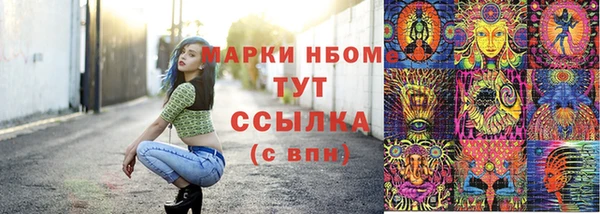 шишки Каменногорск