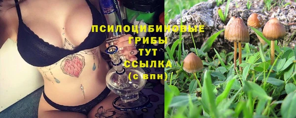 шишки Каменногорск