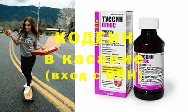 шишки Каменногорск