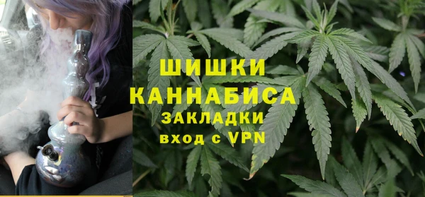 шишки Каменногорск