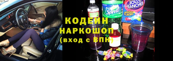 шишки Каменногорск