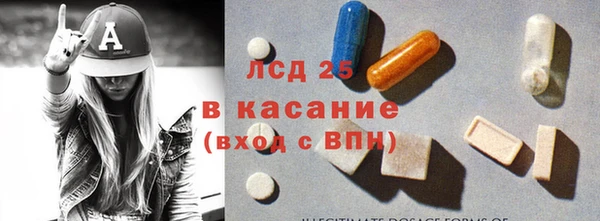 шишки Каменногорск