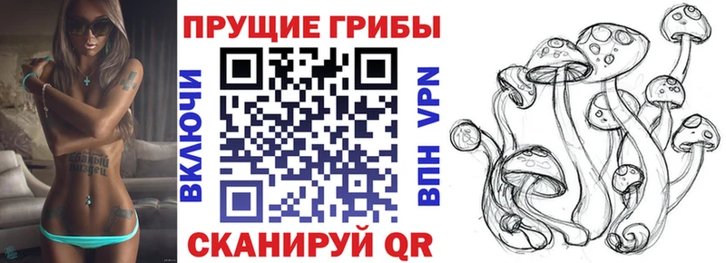 Галлюциногенные грибы Psilocybine cubensis  Купить закладки  Лысково 